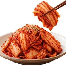 [특가할인] 팔복이네 당일생산 전라도 배추 겉절이, 1개, 1kg