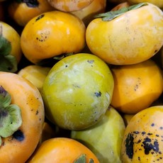 산지직송 국내산 흠과 못난이 햇 단감 랜덤혼합과, 1박스, 3kg