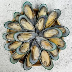 뉴질랜드 자연산 그린홍합 자숙 초록입홍합 반탈각 냉동홍, 1개, 800g