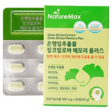 식약처인증 GMP 프리미엄 징코빌로바 메모리 플러스 플라보놀배당체 36mg 식약처인증&GMP 인증 /기억력개선 혈행개선에 도움줄수있음, 60정, 10개