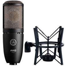 AKG P-220 / P220 / P 220 / PERCEPTION220 / 프로페셔널 스튜디오 / 유선마이크 / 홈레코딩 마이크 / 스튜디오 레코딩 마이크 / / 유투브