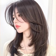 샤일리 여성 정수리 부분가발 탑커버 머리숱 보충 가발, 브라운+앞머리타입-40CM, 1개