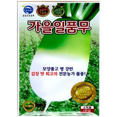 KS종묘 가을일품무 김장용 무 씨앗 전문가 추천 다수확 병강성 강한 1000립 소포장 KS, 1개