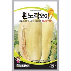 흰노각오이 30립 / 씨앗 종자 텃밭 식재료 크림색 오이, 1개