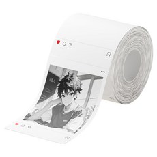 님봇 NIIMBOT B21 Pro B1 Pro B2 Pro 전용 포토 듀얼컬러 라벨지, 3개, 포토인화지 화이트54x86