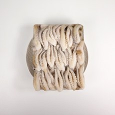 아빠의장바구니 절단쭈꾸미 1kg 손질 세척 냉동 주꾸미 볶음용, 절단주꾸미L 1kg(500g 2개), 2개, 500g