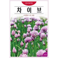KS 차이브 씨앗(100립) 허브씨 꽃씨 종묘 종자 씨 영웅 KS 마늘향이나는 허브, 1개