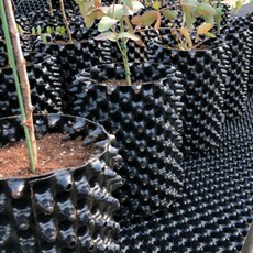 에어포트대형 (E)지름550x높이400(95L) 루트플러스화분 공기화분 마술화분 타공포트, 1개, 블랙