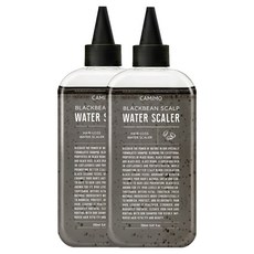 까미모 블랙빈 스칼프 워터 탈모 완화 두피스케일러, 2개, 250ml