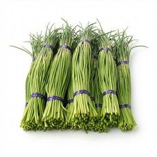 *특가* 오늘수확 2026년 햇 마늘종 1kg 2kg 4kg 산지직송 국산 장아찌용 마늘쫑(특품), 1박스, 2키로