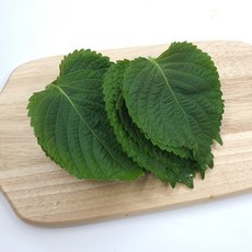 싱싱한 깻잎 300g 500g 1kg, 깻잎500g, 1개