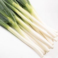 수입 대파 10kg 중국산 깐대파 손질대파 식자재 업소용 도매, 대파 10kg 수입, 1개