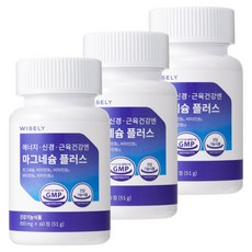 와이즐리 에너지 신경 근육 건강엔 마그네슘 플러스(2개월분), 60정, 3세트
