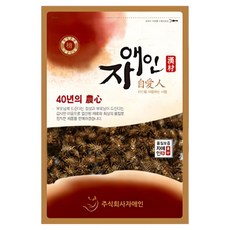 자애인 국산 자연산 볶은 창이자 600g 볶은 도꼬마리, 1개