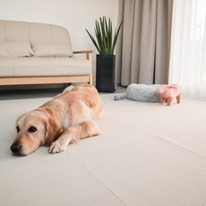 딩동펫 반려동물 미끄럼방지 블럭 카페트 6p, 아이보리, 6개