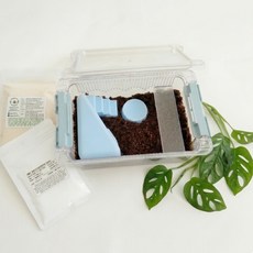 조이 클린케이지 달팽이 키우기 5가지 색깔 에디션 소형 세트, 1개, 스카이블루 에디션 소형