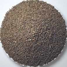 2025년 햇 중국산 서북들깨 1kg 국내선별건조, 1개
