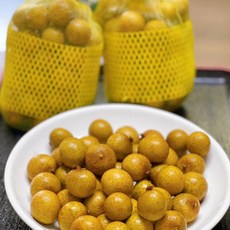 베트남 냉동 롱안 NHAN DONG LANH, 2개, 500G