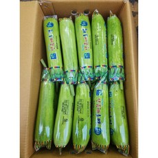 [당일경매] 국내산 애호박 인큐애호박, 1개, 애호박 5개입