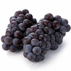 고당도 국산 특품 캠벨포도 송산 대부 상주 남원 포도, 1개, 특품 캠벨포도 2kg 6수 내외