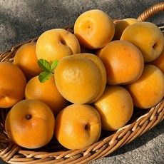 [전국최저가] 국내산 고당도 노지 살구, 1개, 2kg(중소과)