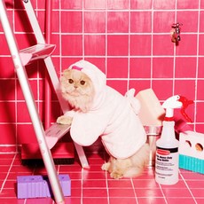 CATSMORY 寵物專用吸水浴袍, 混合顏色