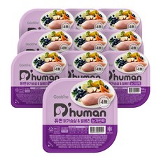 듀먼 전연령용 강아지 눈가반짝 화식사료, 닭, 50g, 30개