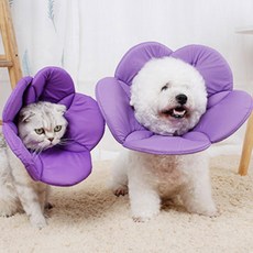 DING DONG PET 寵物魔鬼氈花朵頸圈, 粉紅色, 1個