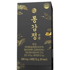 진앤 통감정 유산균 엽산 타트체리 비타민b12 엘브이유케어 프로바이오틱스, 1개, 30정