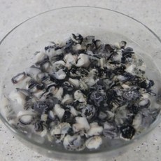 생생바다 국내산 진안 청정 손질 우렁이, 10개, 1kg