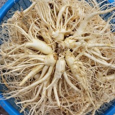 [미리네인삼] 6년근 가정용 세척 중난발삼 500g (7-10뿌리), 1세트