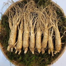 풍기인삼 5년근 6년근 750g 원수삼 특상품 정품인삼 선물포장 (10~15뿌리)가정용, 1개