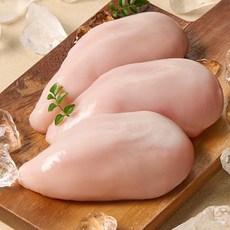 신선애 냉동 생 닭가슴살 소포장, 100g, 10개