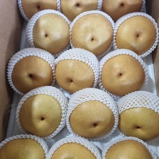 과일참맛 신고배 배 가정용 선물용, 나주배 가정용 15kg 랜덤과(36~45과), 1박스, 15kg