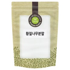 황칠나무 분말 가루 국산 국내산, 300g, 1개
