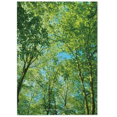 오홀리브 접착 매직 인테리어 포스터 도시의자연 시리즈, 에버그린