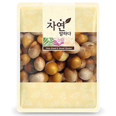 그린약초 국내산 생은행 깐은행 피은행 2025년 햇은행 11월 생산 (왕특대), 1kg, 1개