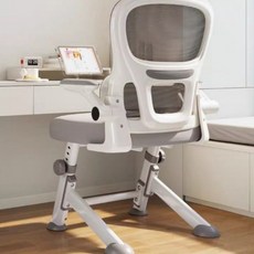 choyur 인체공학 디자인 높이 조절 가능 학습용 의자 청소년 공부 의자 BJJ001, 삼각형 구조 회색|팔걸이 + 머리받침 + 항균 호흡 면