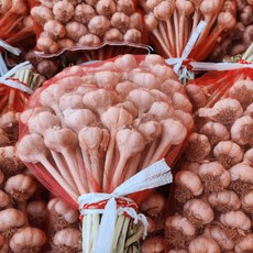 26년 햇 국내산 창녕 통마늘 피마늘, 1박스, 1kg(창녕통마늘)