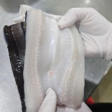 [산지직송] 통영 자연산 손질 바다장어 특대 + 소스 2종 3kg(6-9미), 1개, 바다 장어 3kg (6-9미)