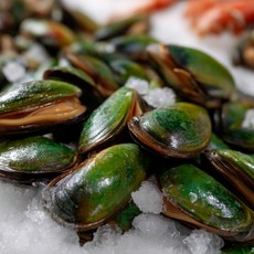 대길푸드 뉴질랜드 그린홍합M 800g, 1개