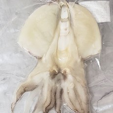 반건조 갑오징어 개별포장 피데기 손질오징어 버터구이 캠핑 안주, 1개, 150~200g