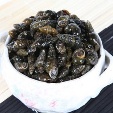 동강청정원 국내산 자연산 생다슬기 가장 큰 사이즈, 1세트, 5kg