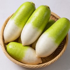 국산 제철 햇무 겨울 제주 월동무 ( 맛있는 제주 월동무), 1박스, 무 3kg 내외