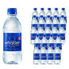 휘슬러 워터 생수, 350ml, 24개