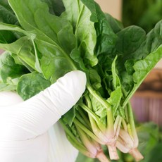 < 바른농산 > 국내산 당일수확 시금치, 1개, 2kg