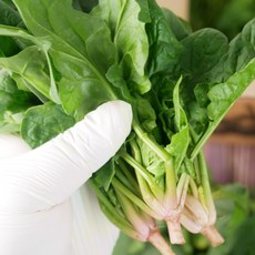 < 바른농산 > 국내산 당일수확 시금치, 1개, 500g