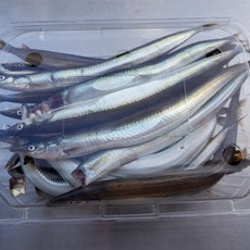 주문진농수산 생물 햇 생 양미리 반건조 강릉 주문진 사천항 당일조업 구이, 1박스, A급 반건조 1두름(20마리)