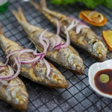 자연산 전어 구이용 전어 500g 1kg, 1개, 500g내외(5-10미)