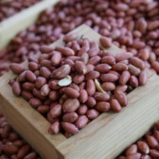볶음땅콩 미니 3.75kg 껍질째먹는 레드땅콩 25년산, 1개